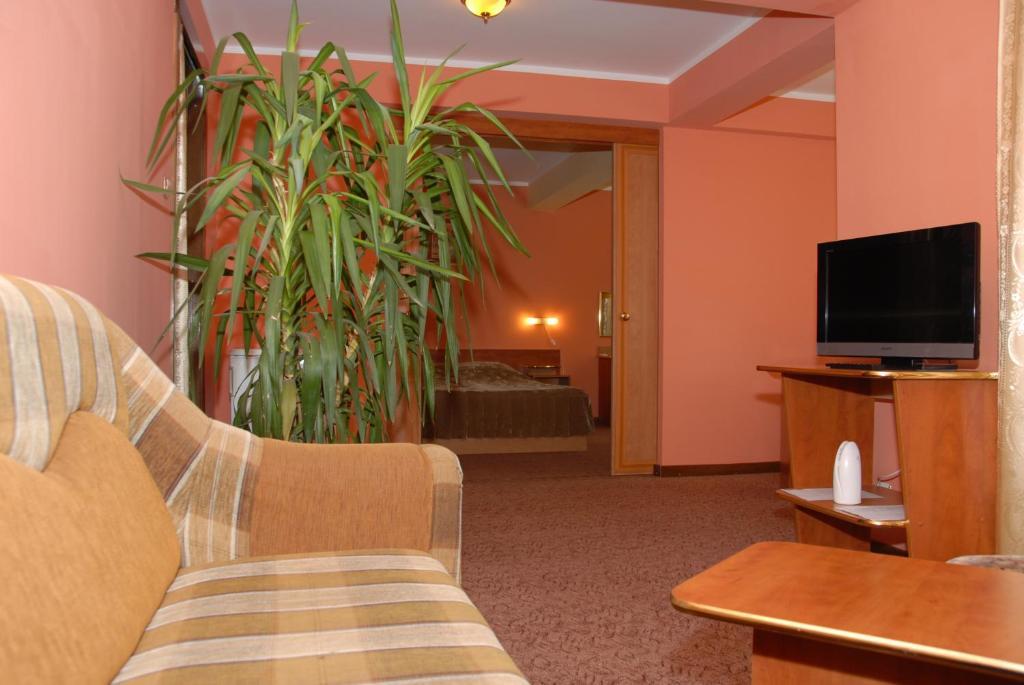 Pensiunea Turistica Europa ドロベタ＝トゥルヌ・セヴェリン 部屋 写真